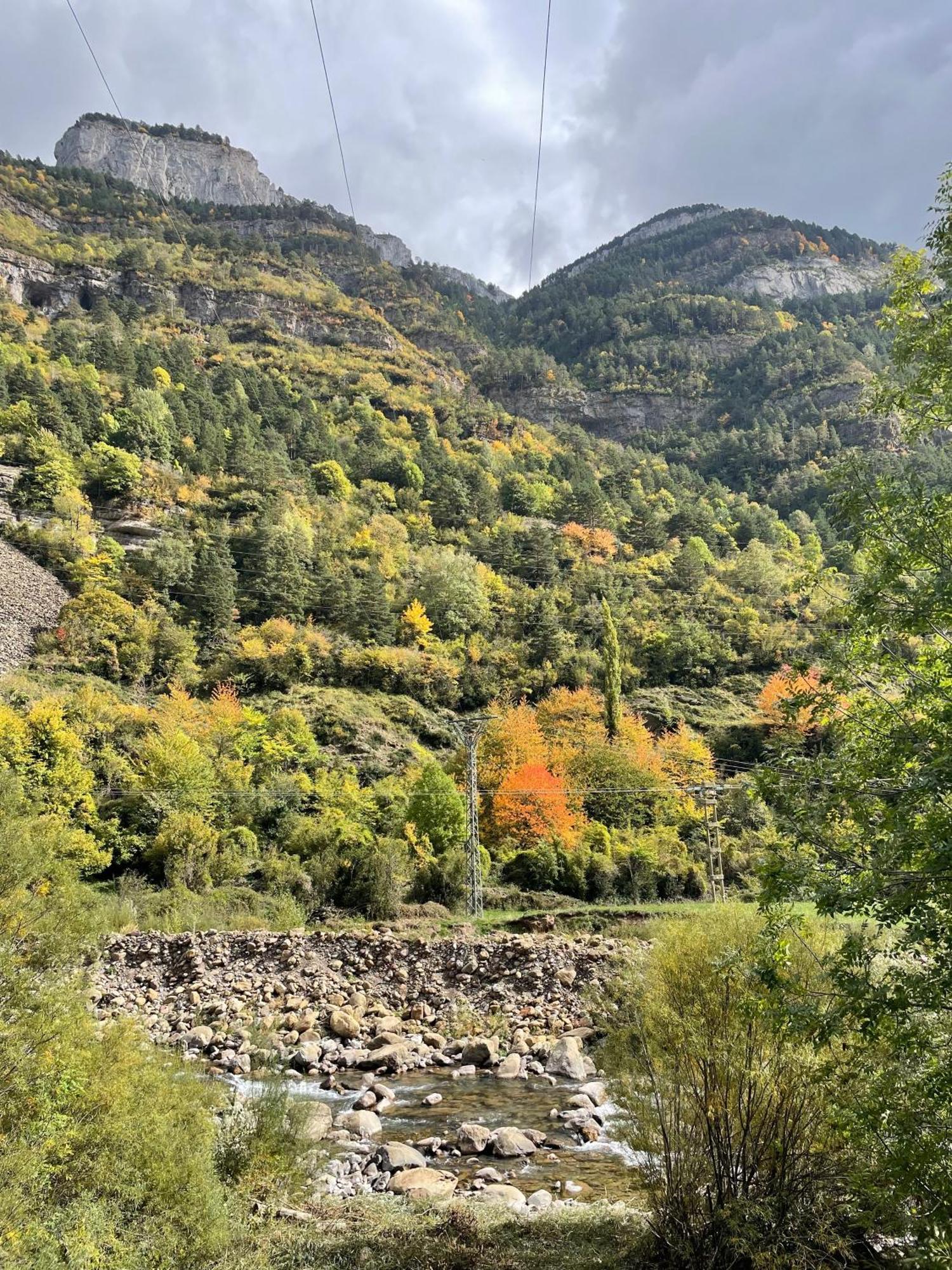 Calmfranc Atico Abuhardillado Con Vistas Al Rio Y La Montana Avistamiento De Ciervos En Canfranc Pueblo Exterior photo